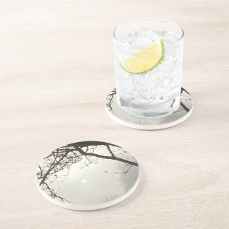 White Sky And Sun Dramatically Framed By Trees     Coaster