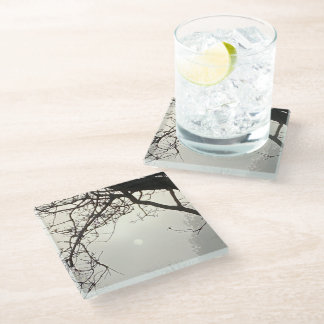White Sky And Sun Dramatically Framed By Trees  Glass Coaster