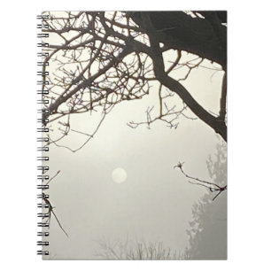 White Sky And Sun Dramatically Framed By Trees Notebook
