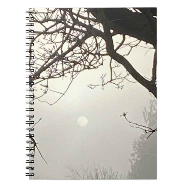 White Sky And Sun Dramatically Framed By Trees  Notebook (Front)