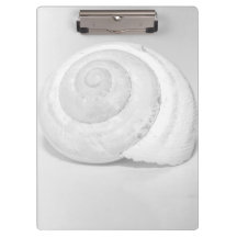 White Snail Shell Minimalist Nature Photography
