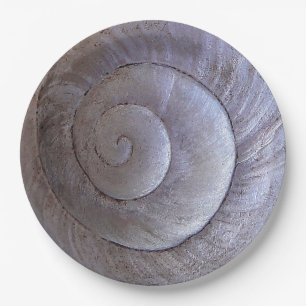 White snail shell paper plate