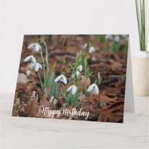 White Snow Drop Celebration Birthday