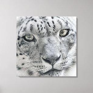 White Snow Leopard Nature Photograph Canvas Print