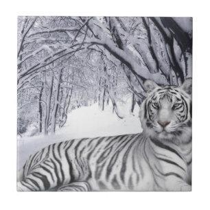 White Snow Tiger Tile