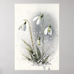 White Snowdrop Flowers Art Print Poster