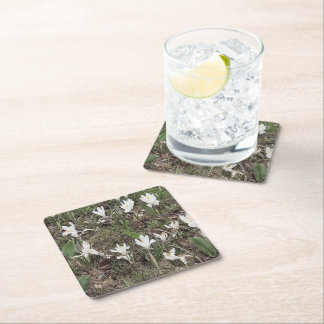 White Snowdrops in Spring Grass Square Paper Coaster