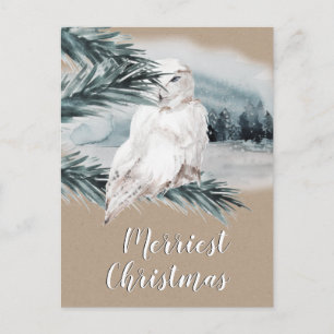 White Snowy Owl Blue Spruce Branch Woodland Scene Postcard