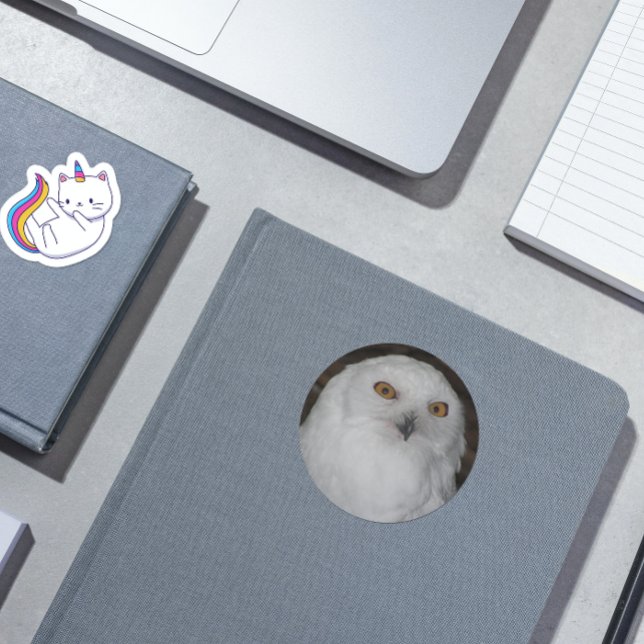 White Snowy Owl Photo Classic Round Sticker (In Situ)