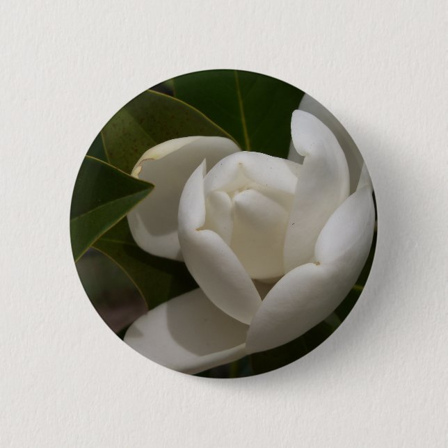 white southern magnolia flower bud 6 cm round badge (Front)
