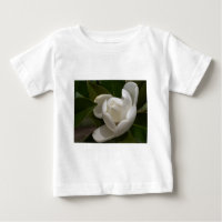 white southern magnolia flower bud