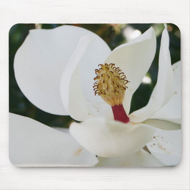 White southern magnolia flower gifts blossom close mouse mat (Front)