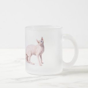 White sphinx cat frosted mug