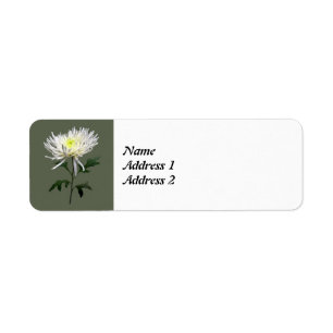 White Spider Mum Save the Date