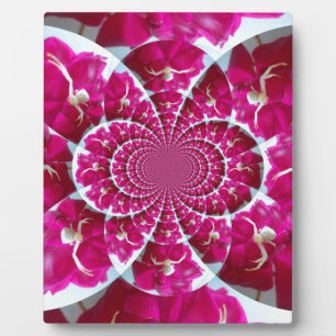 White Spider on a Beautiful Red Rose Plaque