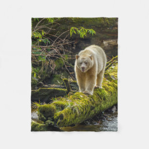 White Spirit Bear   British Columbia, Canada Fleece Blanket