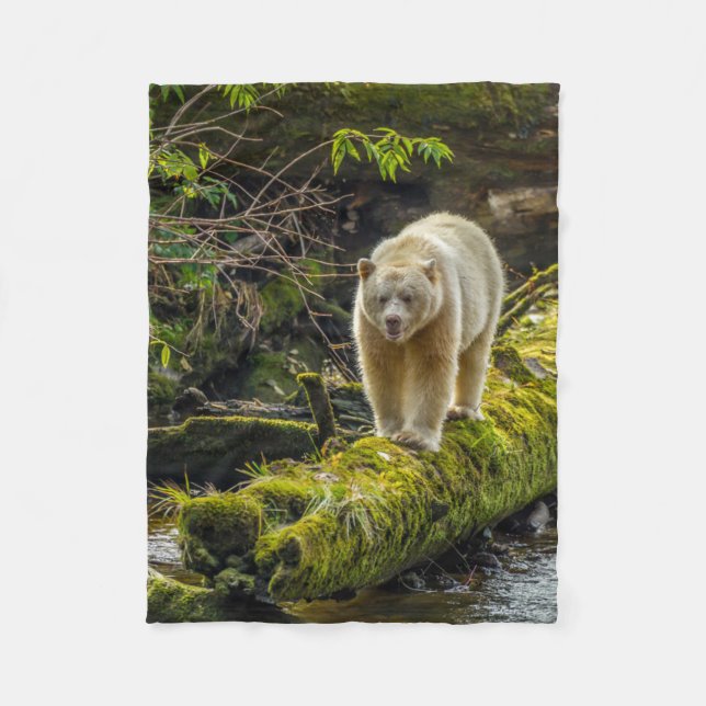 White Spirit Bear | British Columbia, Canada Fleece Blanket (Front)