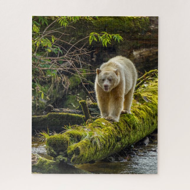 White Spirit Bear | British Columbia, Canada Jigsaw Puzzle (Vertical)
