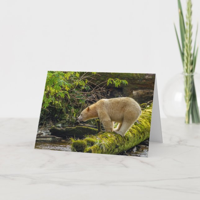 White Spirit Bear Card (Front)