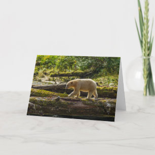 White Spirit Bear Hunts Card