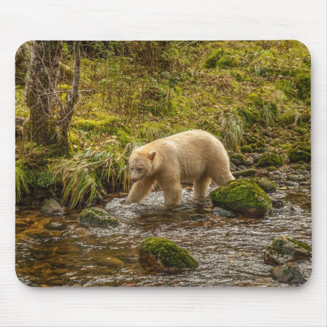 White Spirit Bear Hunts for fish on Riordan Creek Mouse Mat (Front)