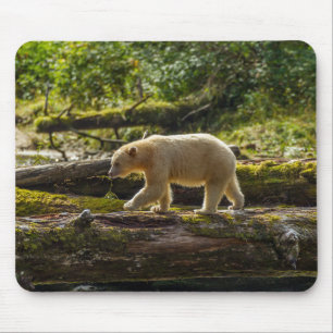 White Spirit Bear Hunts Mouse Mat