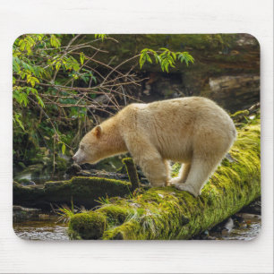 White Spirit Bear Mouse Mat
