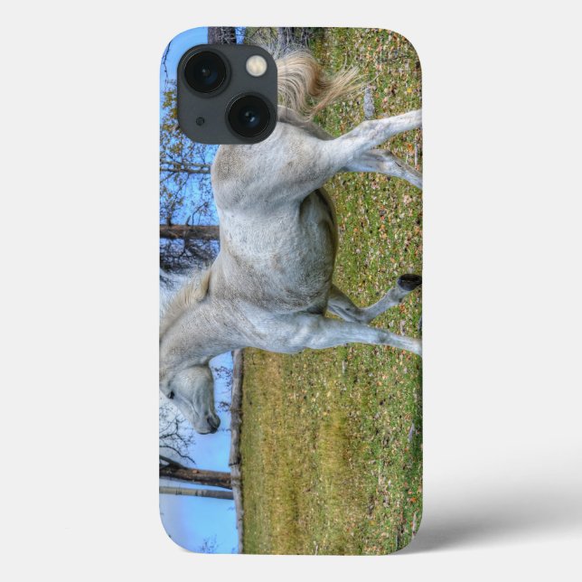 White Spirited Horse Equine Photo on a BC Ranch Case-Mate iPhone Case (Back)