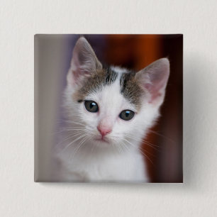 White Spotted Kitty 15 Cm Square Badge