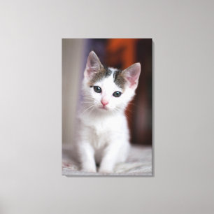 White Spotted Kitty Canvas Print