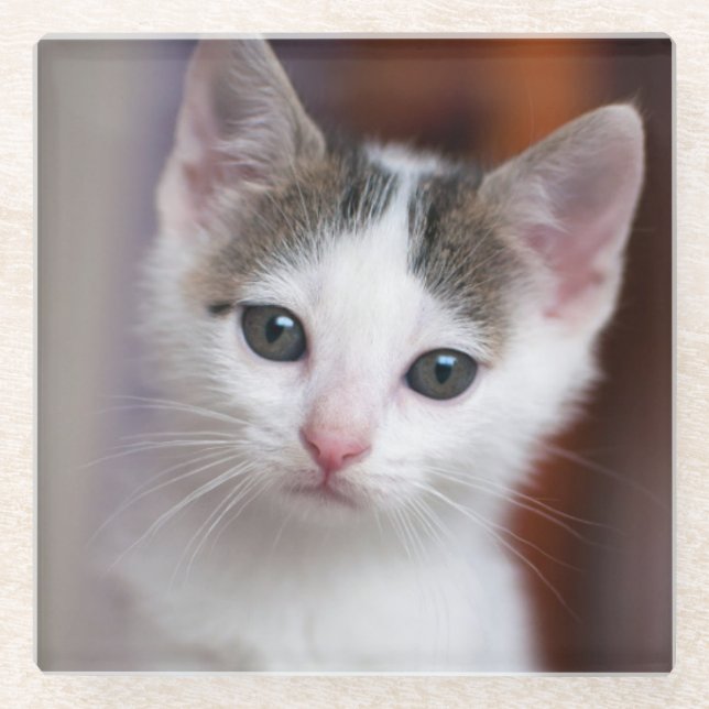 White Spotted Kitty Glass Coaster (Front)
