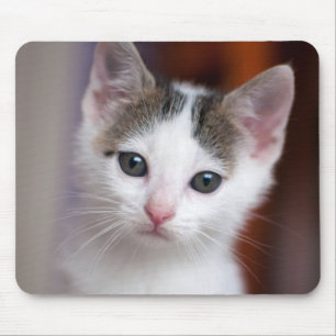 White Spotted Kitty Mouse Mat