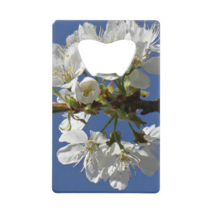 White Spring Bloom