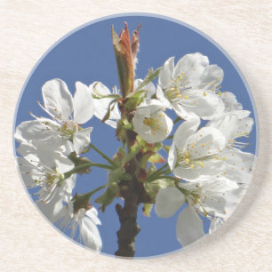White Spring Bloom Coaster