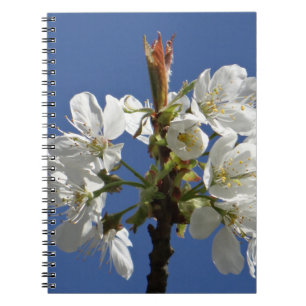 White Spring Bloom Notebook