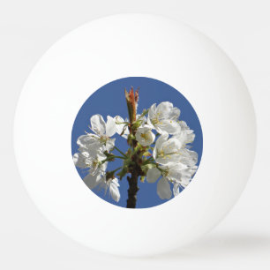 White Spring Bloom Ping Pong Ball