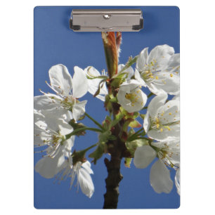 White Spring Blossom Clipboard