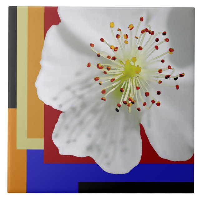 White Spring Blossom Fine Art Colourful Geometric  Tile (Front)