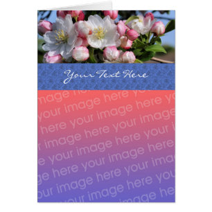 White Spring Blossoms Floral Photo Card
