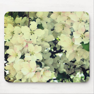 White Spring Blossoms Flower  Mouse Mat