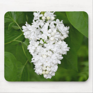 White spring lilac blossoms print mouse mat