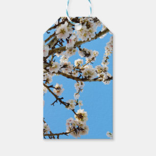 White Spring Love Blossoms, Gift Tags