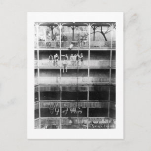 White Springs Florida Vintage Photo  the Suwannee Postcard