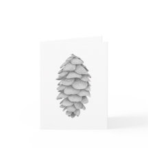 White Spruce Cone holiday greeting card