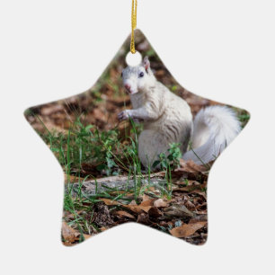 White Squirrel of Brevard Ceramic Tree Decoration