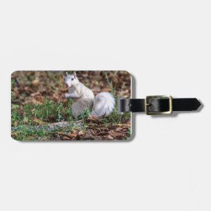 White Squirrel of Brevard Luggage Tag