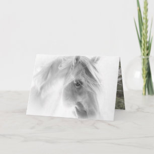 White Stallion Glows - Horse Greeting Card