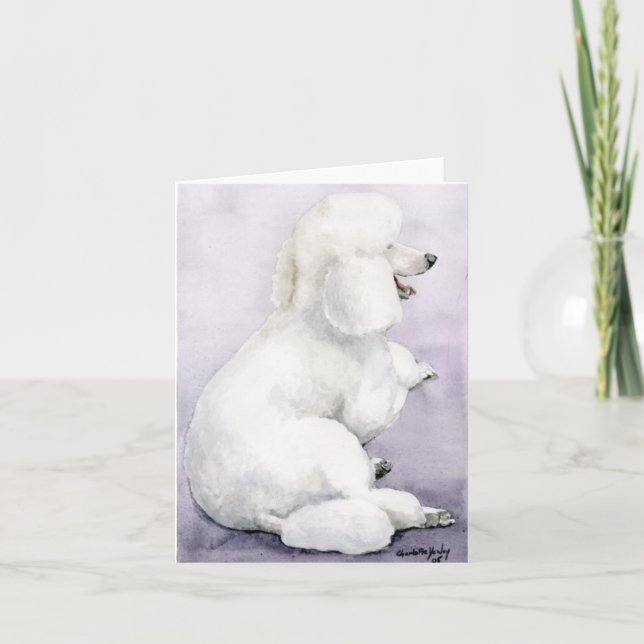 White Standard Poodle Laying Dog Art Note Card (Front)