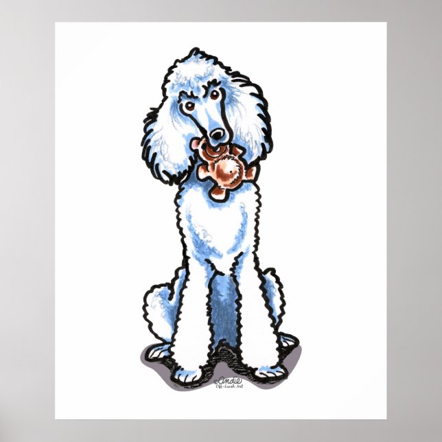 White Standard Poodle Teddy Bear Poster (Front)