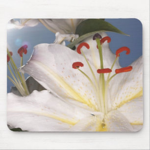 White stargazer lilies (Lilium orientalis), Mouse Mat